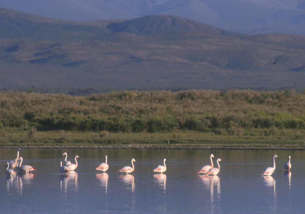 Отель Hostal Nicol'S Луке Экстерьер фото