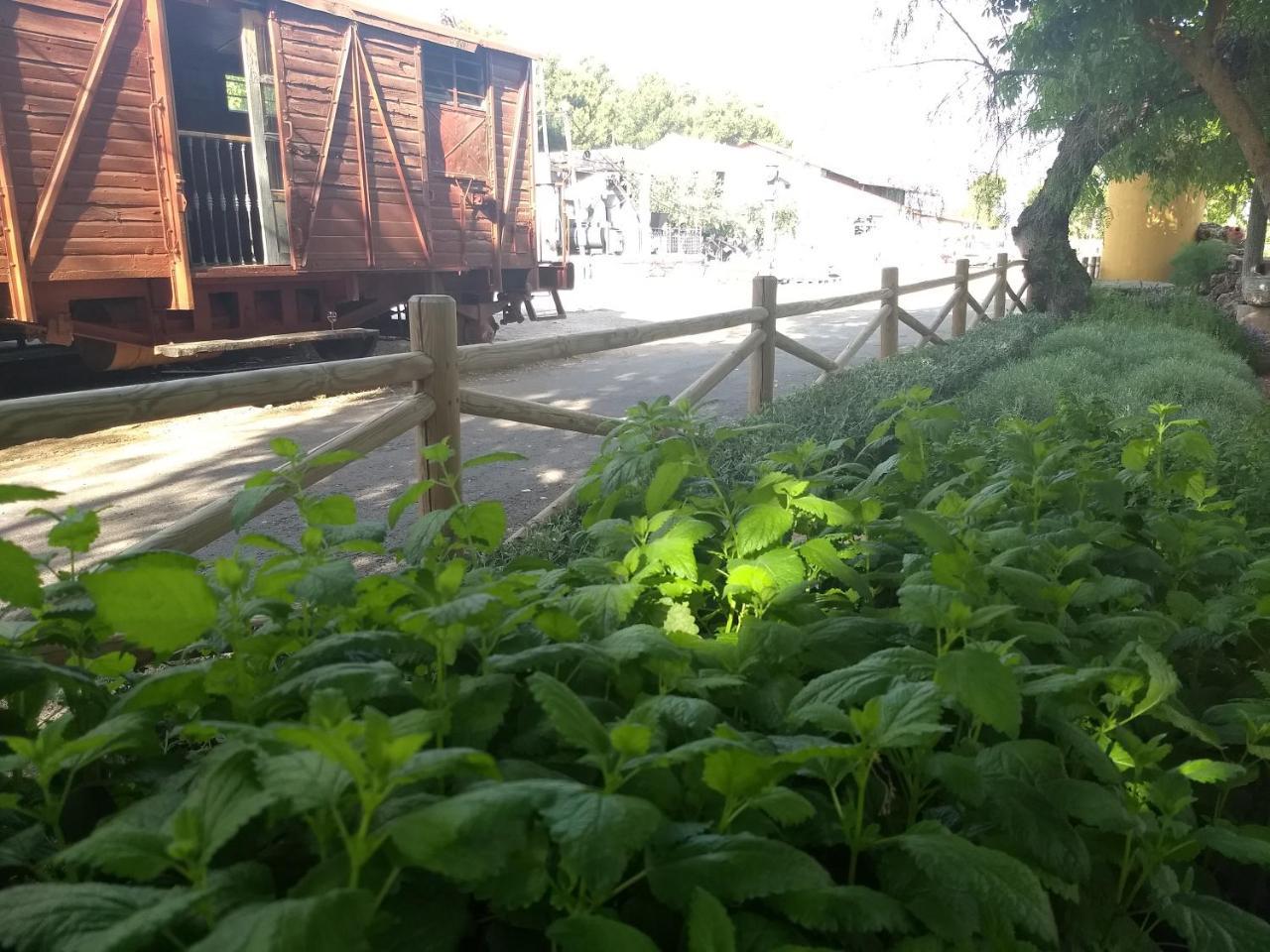 Отель Hostal Nicol'S Луке Экстерьер фото